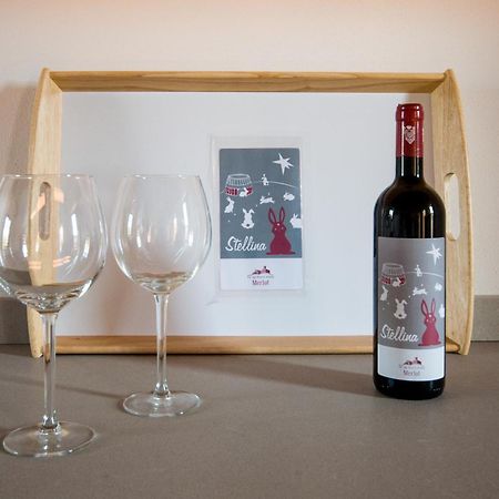 Agriturismo Villa Sardini 루카 외부 사진