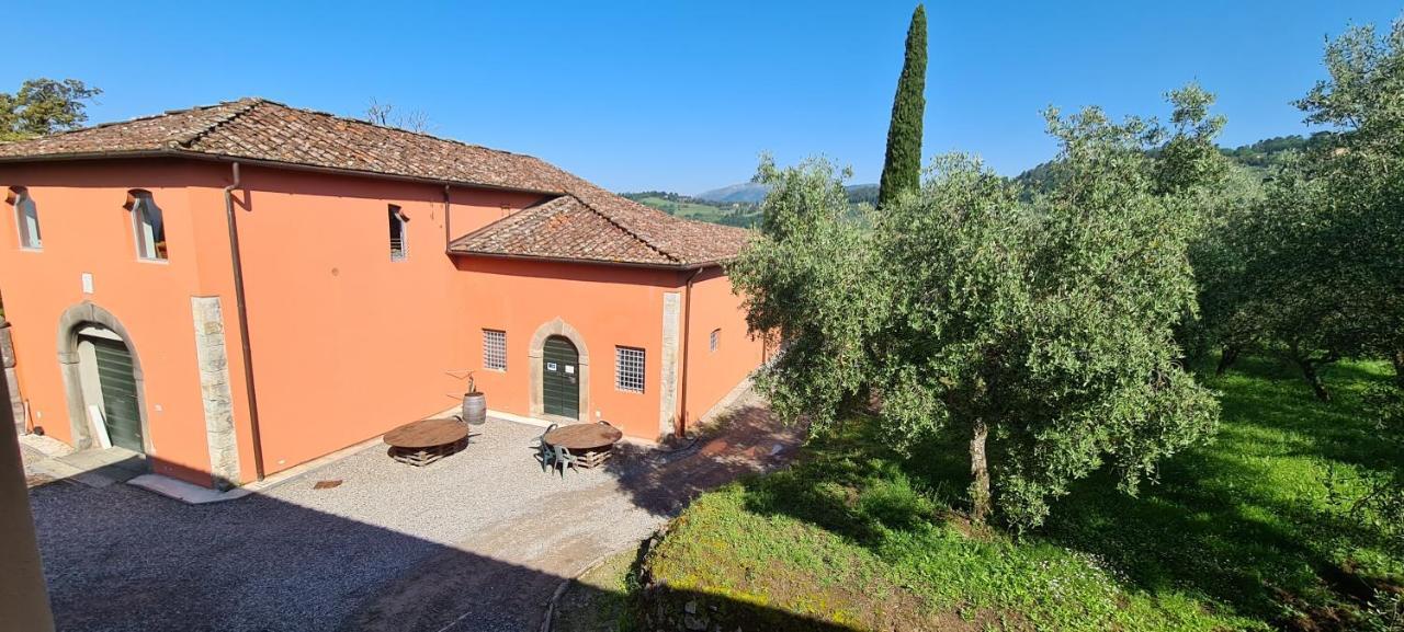 Agriturismo Villa Sardini 루카 외부 사진
