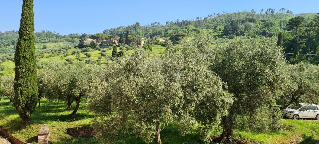Agriturismo Villa Sardini 루카 외부 사진