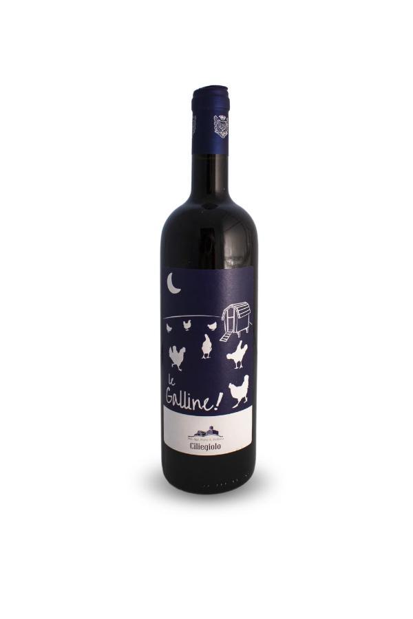 Agriturismo Villa Sardini 루카 외부 사진