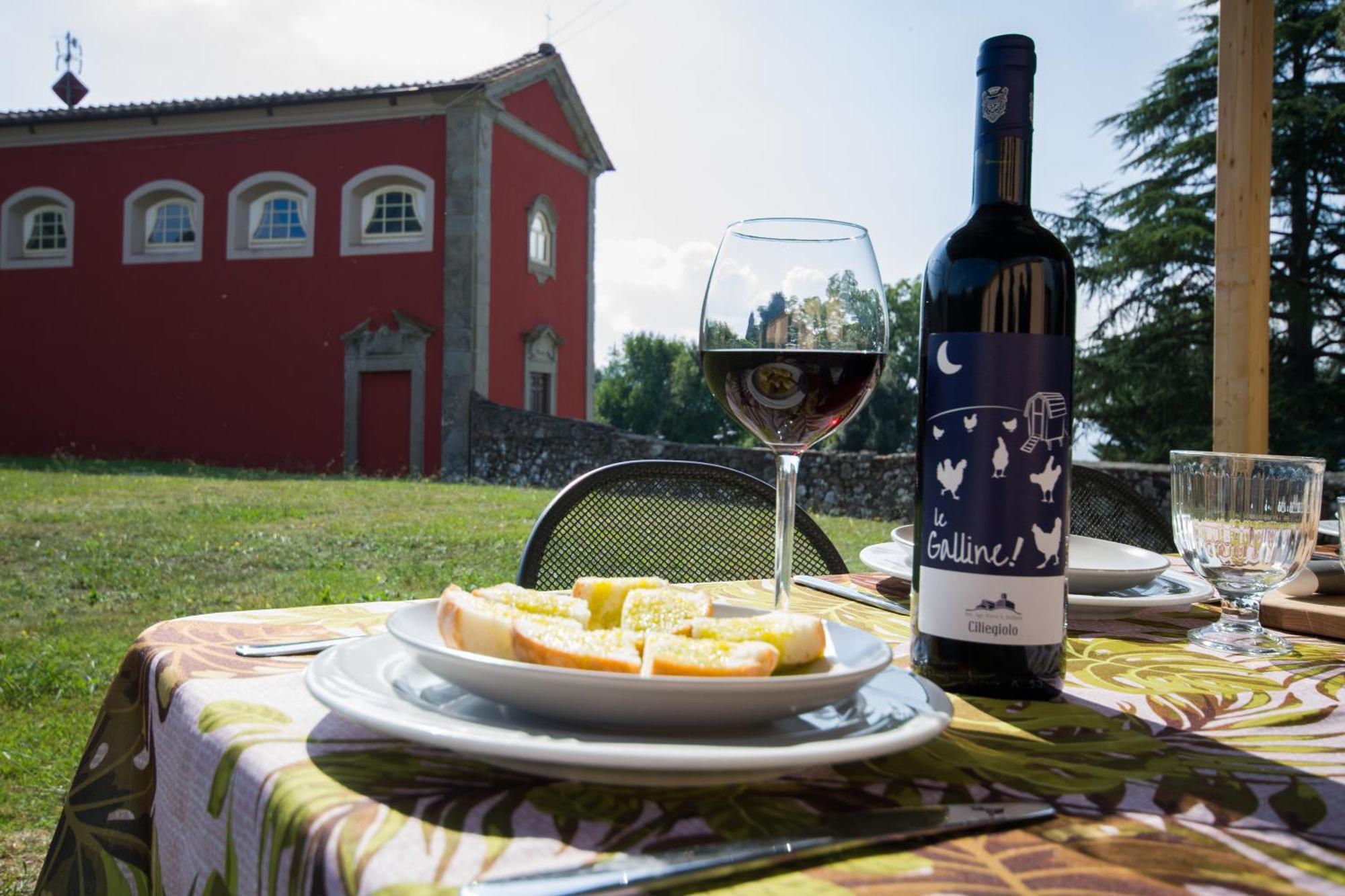 Agriturismo Villa Sardini 루카 외부 사진