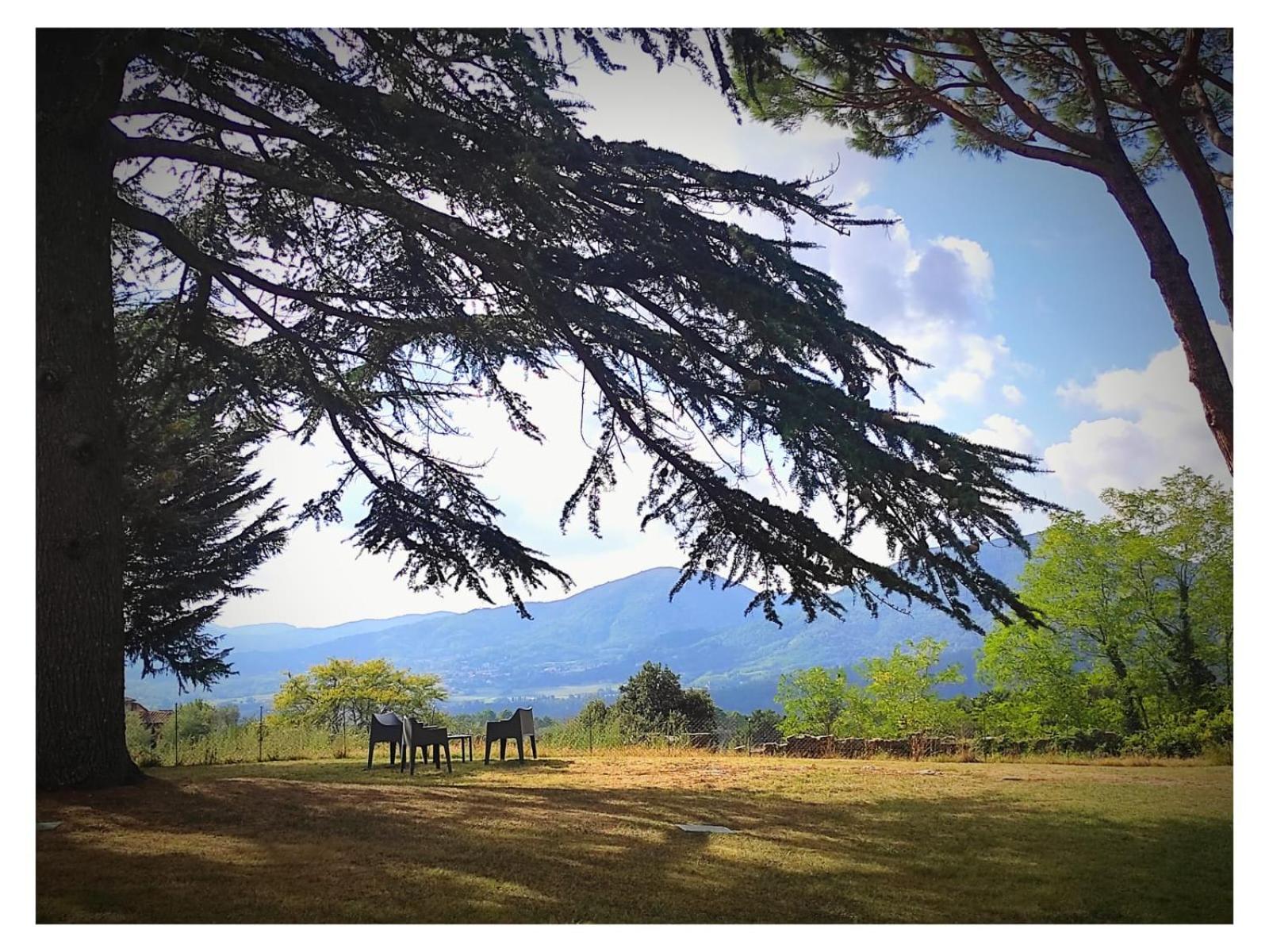 Agriturismo Villa Sardini 루카 외부 사진