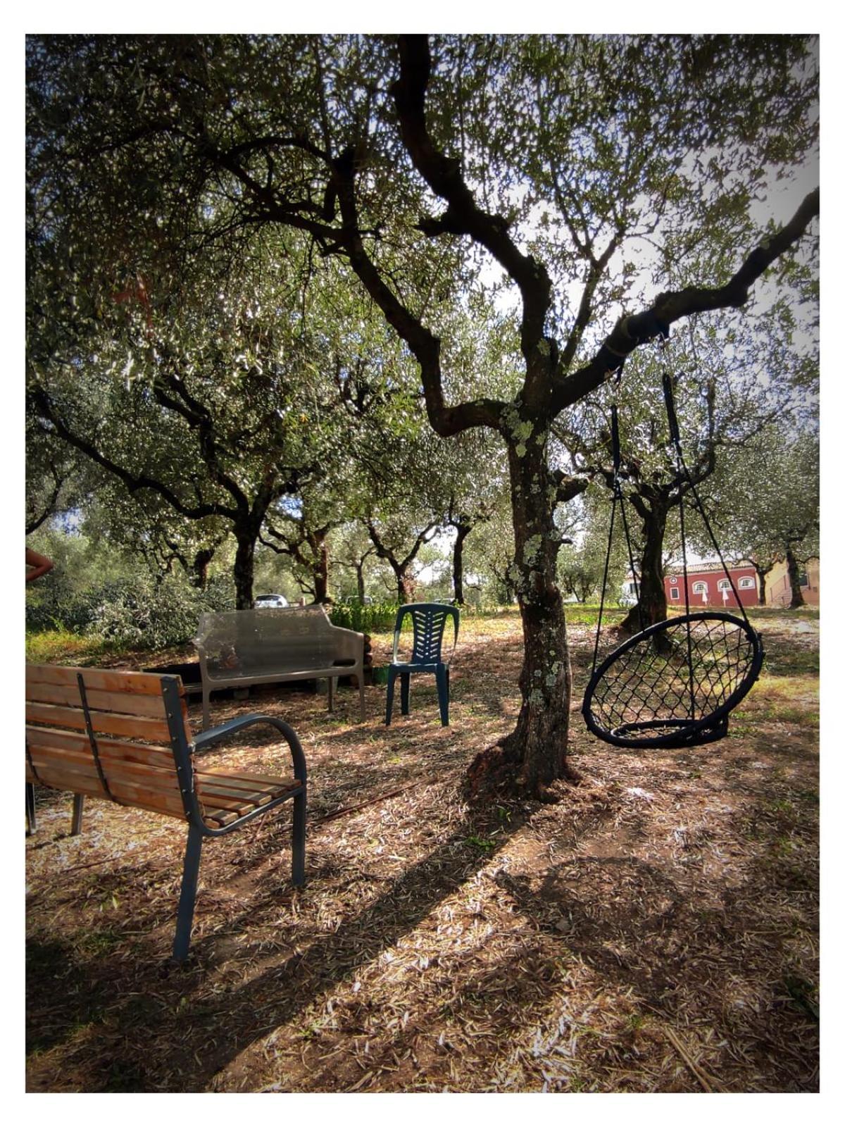 Agriturismo Villa Sardini 루카 외부 사진