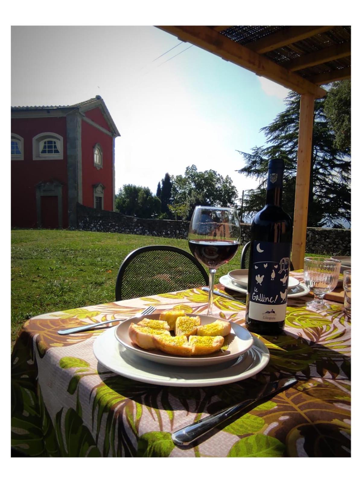 Agriturismo Villa Sardini 루카 외부 사진
