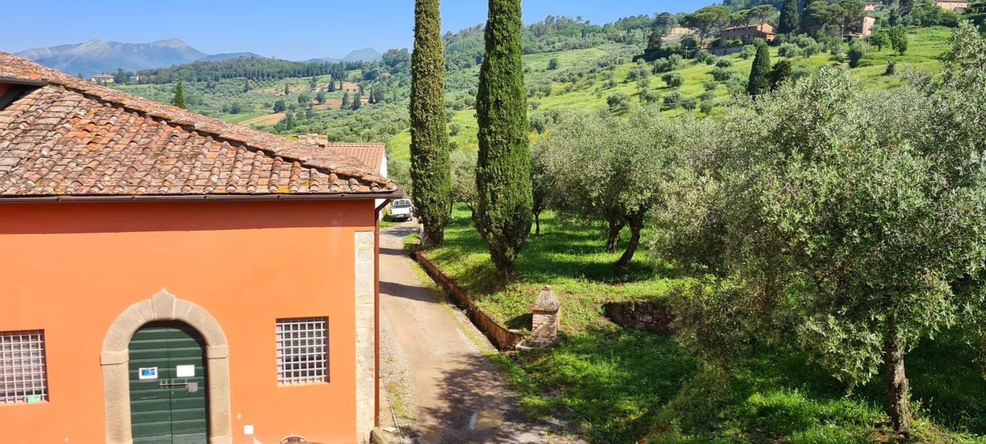 Agriturismo Villa Sardini 루카 외부 사진